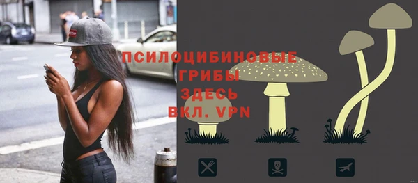 соль ск Аркадак