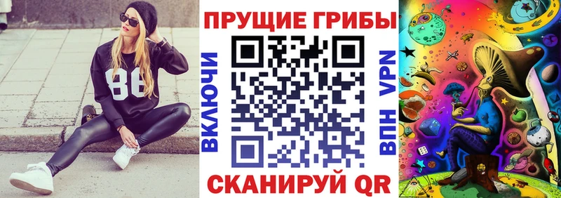 Галлюциногенные грибы GOLDEN TEACHER  Озёрск 